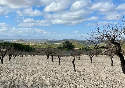 Land in Bullas