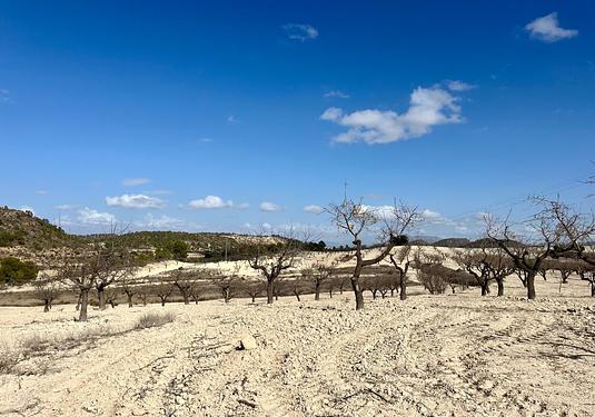 Land in Bullas