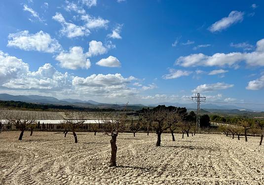 Land in Bullas