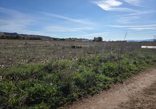 Land in Yecla