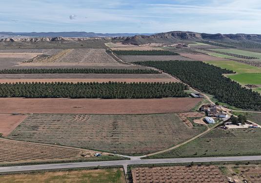 Land in Yecla