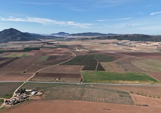 Land in Yecla