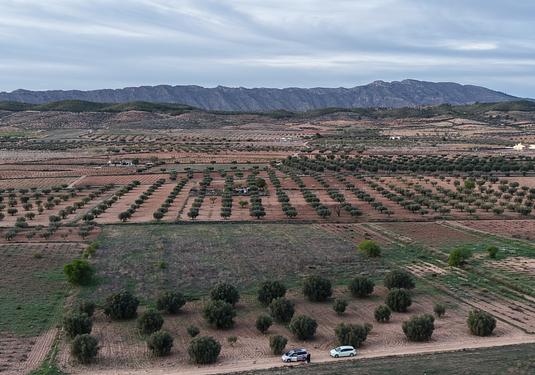 Land in Jumilla