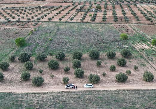Land in Jumilla