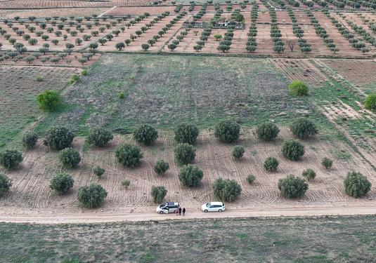 Land in Jumilla