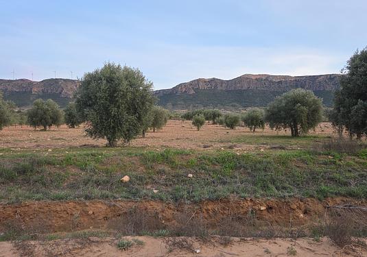 Land in Jumilla