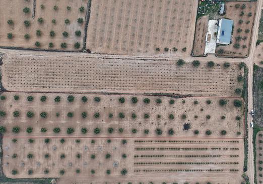 Land in Jumilla