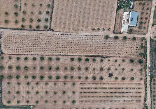 Land in Jumilla