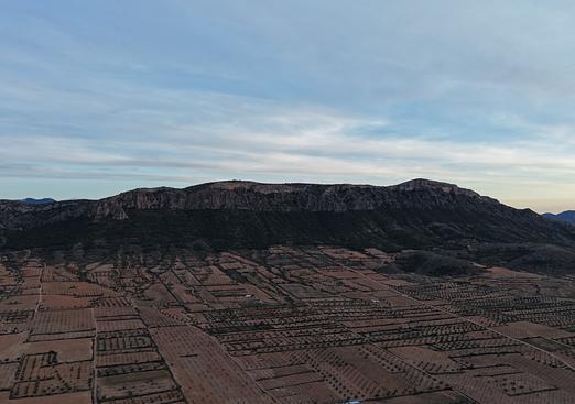 Land in Jumilla
