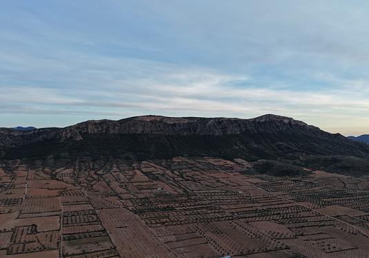 Land in Jumilla