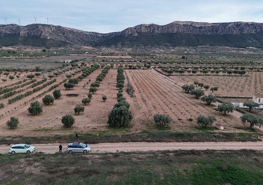 Land in Jumilla