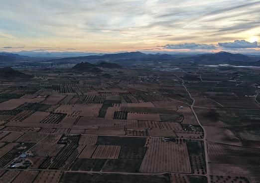 Land in Jumilla