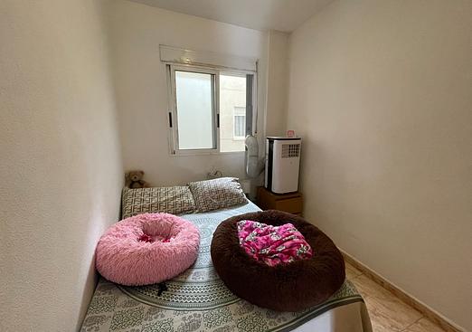 Apartment in Torrevieja