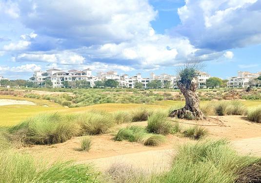 Duplex in Hacienda Riquelme Golf Resort