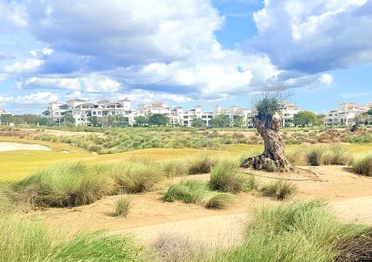 Duplex in Hacienda Riquelme Golf Resort