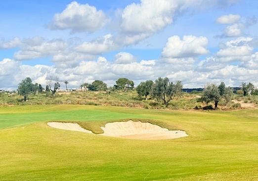 Duplex in Hacienda Riquelme Golf Resort