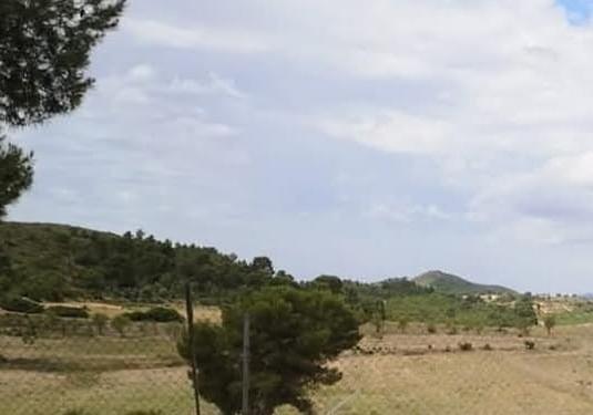 Country house in Caudete