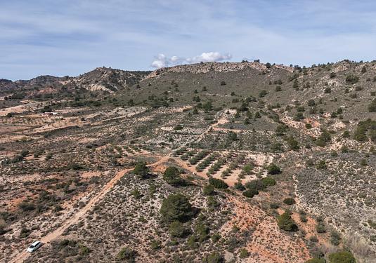 Land in Yecla