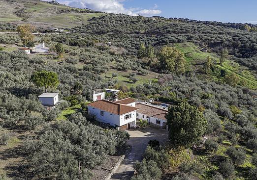 Villa in Periana