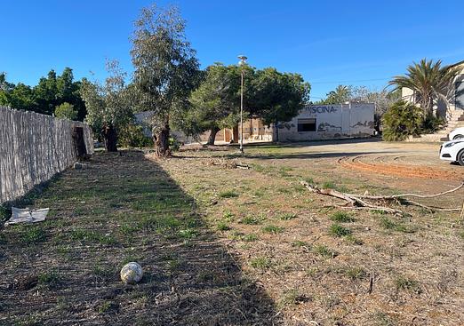Country house in Elche