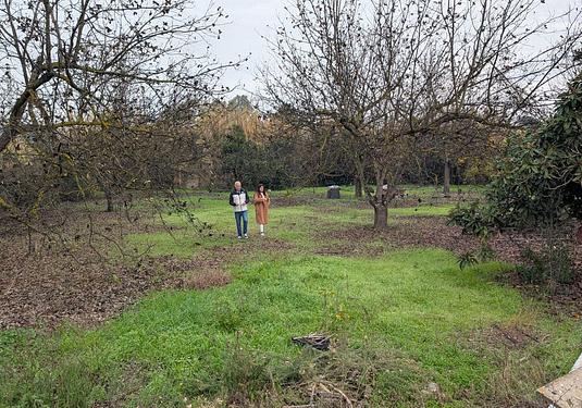 Land in Alhaurin el Grande