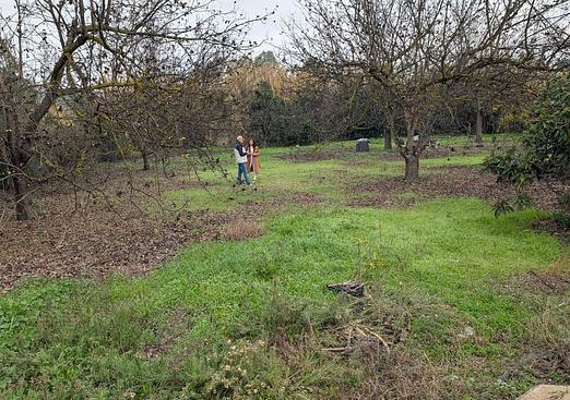 Land in Alhaurin el Grande