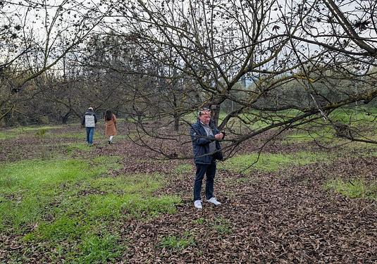 Land in Alhaurin el Grande
