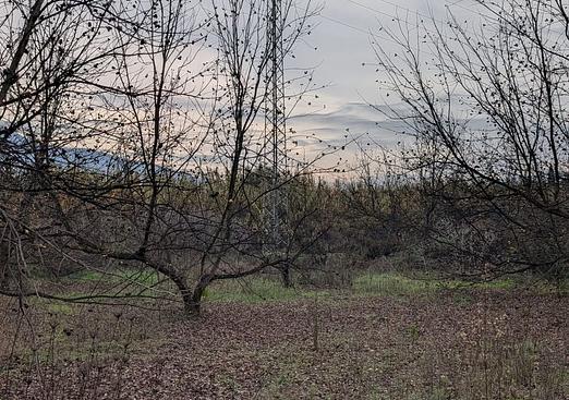 Land in Alhaurin el Grande