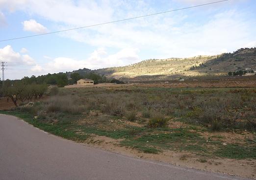 Land in Pinoso