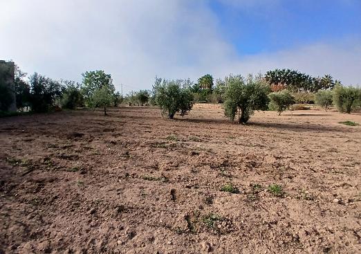 Finca in Jumilla