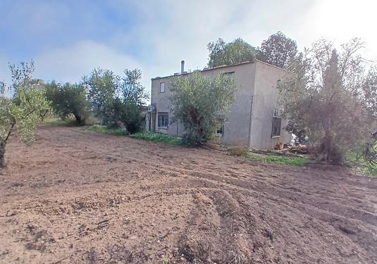 Finca in Jumilla