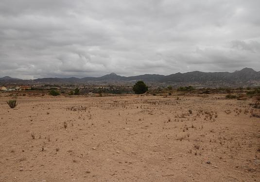 Land in Abanilla