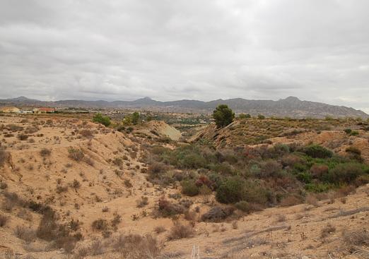 Land in Abanilla