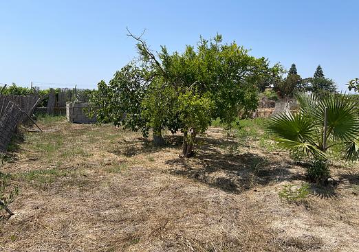 Villa in Daya Nueva