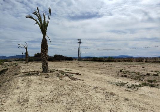 Country house in Abanilla