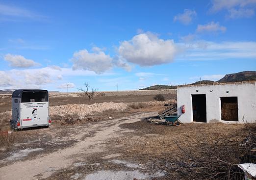 Finca in Monóvar/Monóver