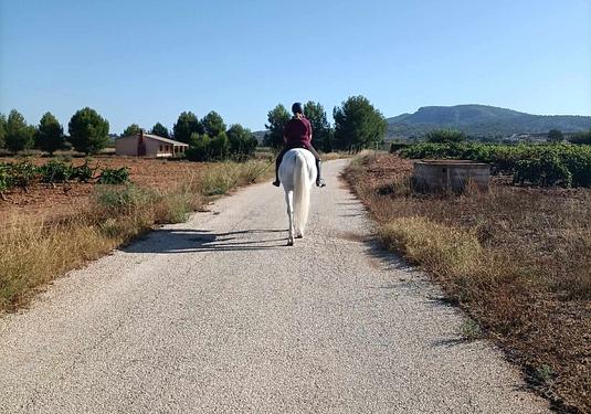 Finca in Monóvar/Monóver