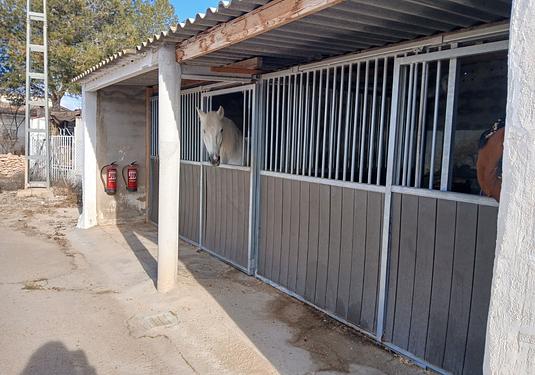 Finca in Monóvar/Monóver