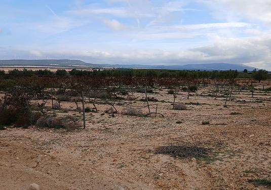 Land in Yecla