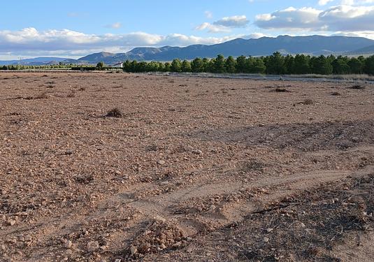 Land in Yecla