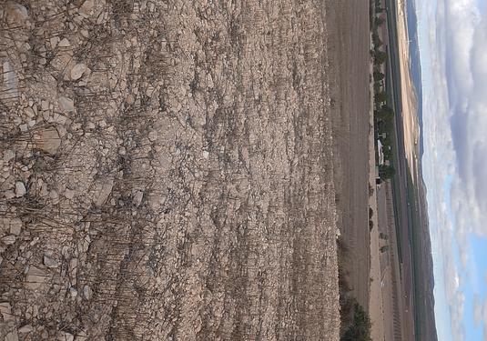 Land in Yecla