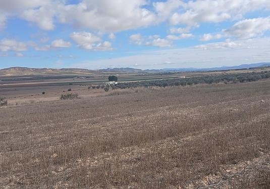 Land in Yecla