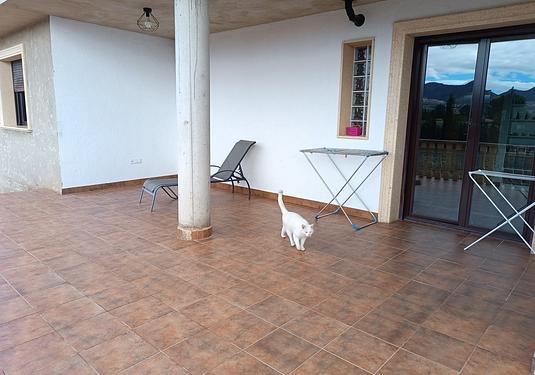 Villa in Yecla