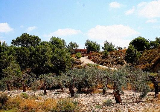 Country house in Murcia