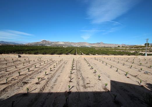 Finca in Murcia