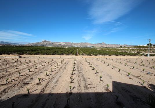 Finca in Murcia