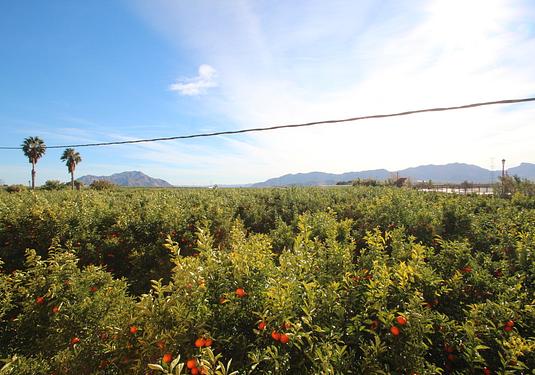 Finca in Murcia