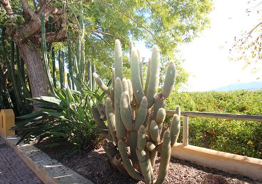 Finca in Murcia