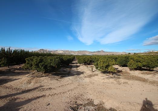 Finca in Murcia