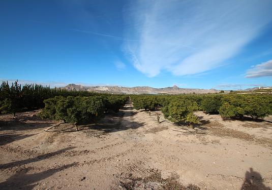 Finca in Murcia